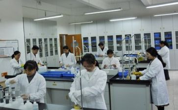 实验组工作计划模板6篇