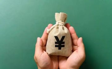 关于农民收入的调查报告6篇