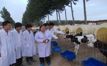 兽医师个人工作总结8篇