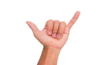 手指舞教案参考5篇