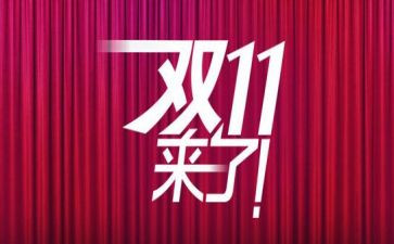 双11客服个人总结6篇