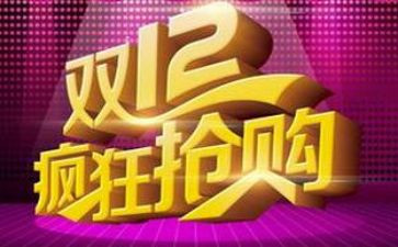 双12活动方案参考5篇