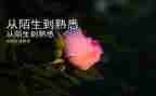 我熟悉的人300作文优质8篇