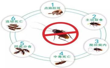 幼儿园防四害工作计划6篇