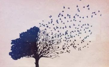 教师编个人思想总结最新5篇