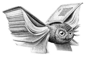 素描班教学计划6篇