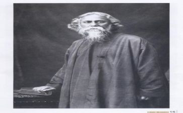 泰戈尔的诗读后感最新8篇