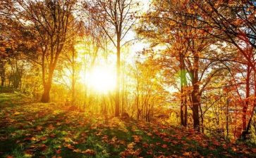 《脚步》作文通用6篇