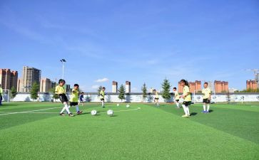 体卫室工作计划5篇