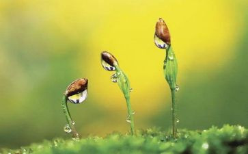 与朋友同行作文精选7篇