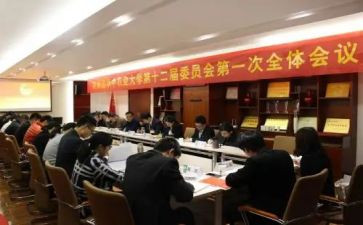 团委会申请书6篇