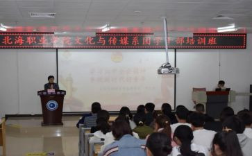 团总支和学生工作计划6篇