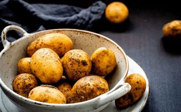 土豆的作文参考7篇