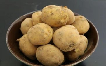 关于土豆作文5篇