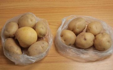 土豆的作文最新7篇