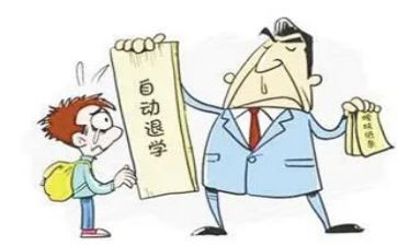 退学自愿申请书优质5篇