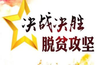 村个人脱贫工作总结6篇