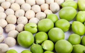 小豌豆的读后感7篇