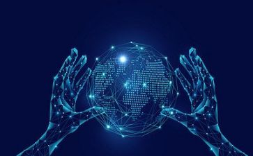 网络员的报告总结报告优秀5篇
