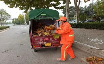 学校保卫工作总结8篇