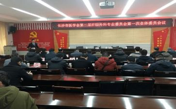 审委会工作总结参考8篇