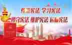 安全小卫士大班教案7篇