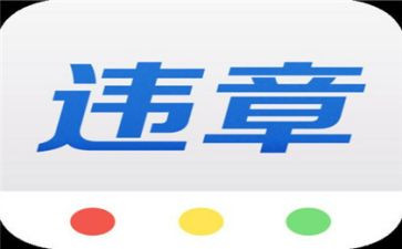 违章性违章心得体会范文6篇