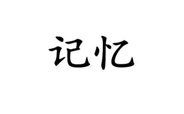 记忆书读后感6篇