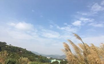 我的一天,作文最新7篇