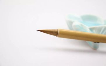 我想变成鸟作文400字8篇