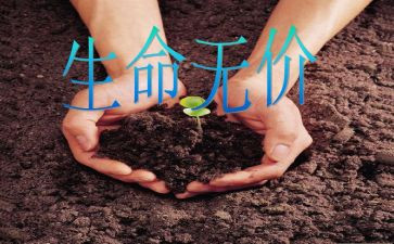 孝心无价的读后感7篇