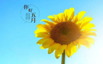 五月工作计划最新5篇
