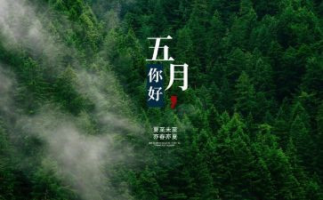 五月团工作计划5篇