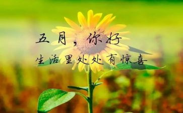 五月的工作计划参考5篇