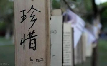 珍惜所有的人作文8篇