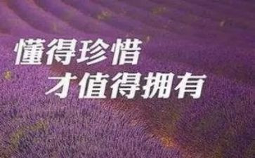 知感恩懂珍惜心得体会7篇