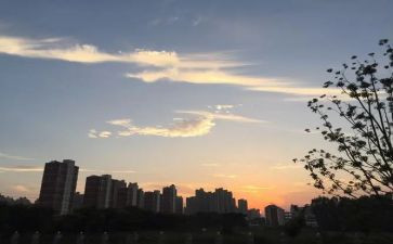 小班下班级工作计划第二学期8篇