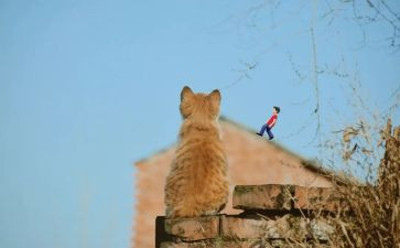 青春的遐想作文5篇