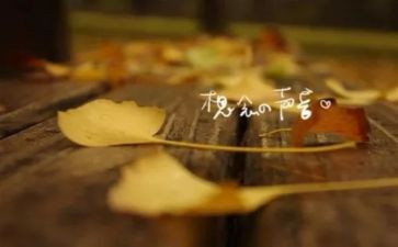 关于想念的作文最新7篇