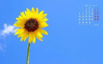 写向日葵的作文8篇
