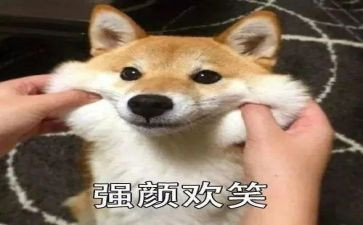 微笑日的演讲稿8篇
