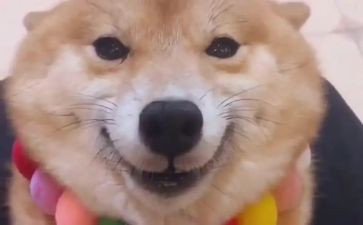 微笑日的演讲稿最新8篇