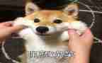 微笑日的演讲稿8篇