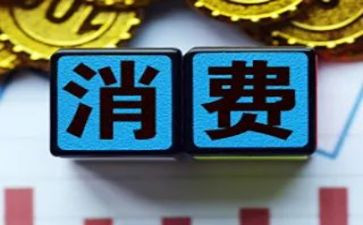 消费者的调查报告6篇