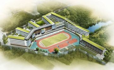 校园雷锋活动总结6篇