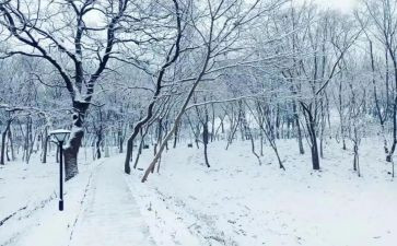 幼儿园小班《下雪了》教案7篇