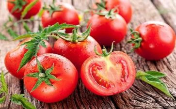 种西红柿作文最新7篇