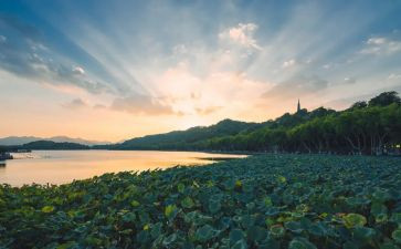 唱西湖的作文通用6篇