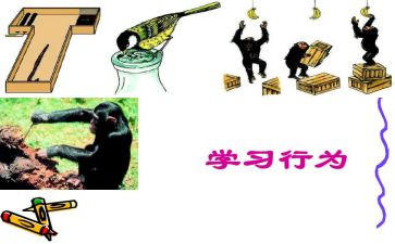 违反教师职业行为心得体会优秀8篇