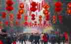 个人最新年终总结优质8篇